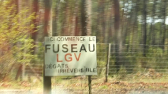 lgv
